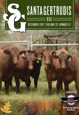 December 2017 | Vol 20, No 12