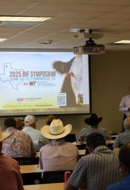 Bob Weaber, Ph.D., SGBI consulting geneticist and Beef Improvement Federation Executive Director presents at the SGBI annual meeting.